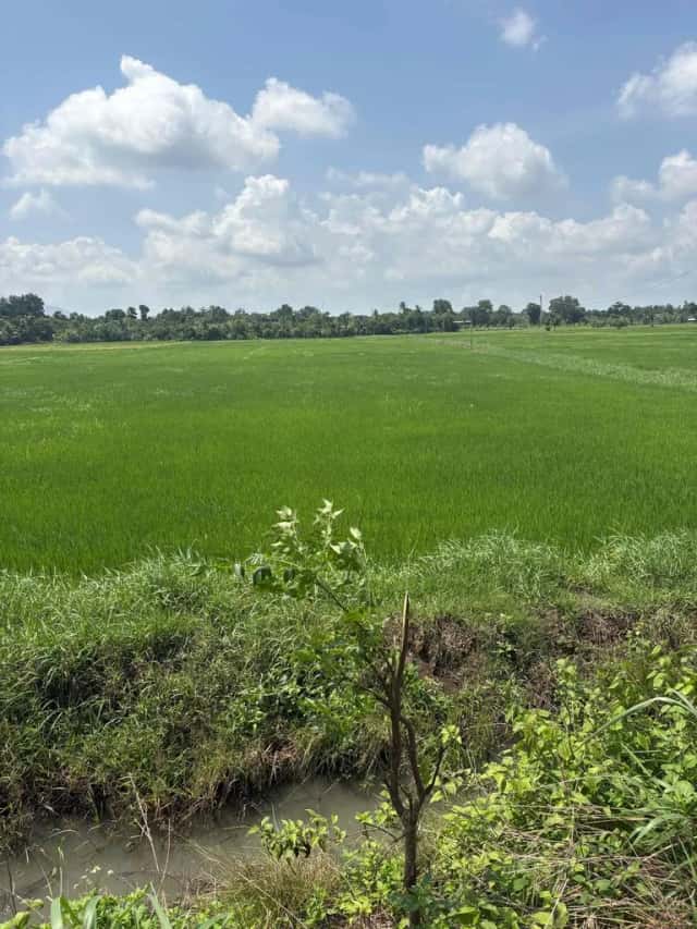 Bán đất ấp Lác Chiếu Thành phố Long Khánh, Đồng Nai – giá 2.1 tỷ
