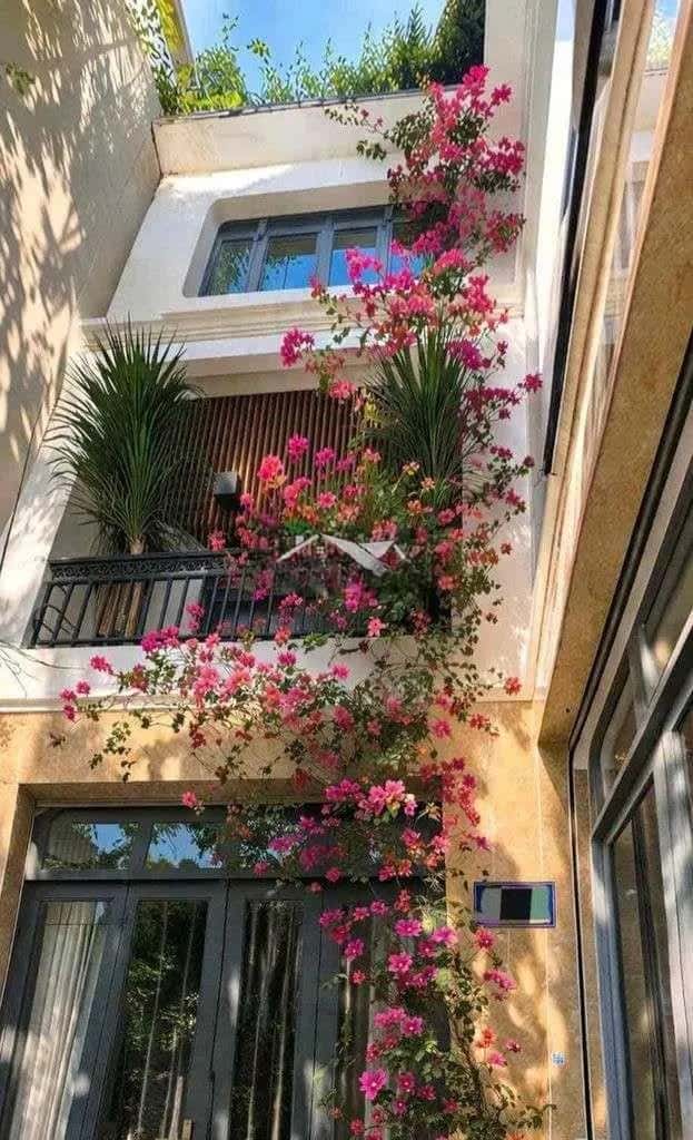 Cho thuê nhà hẻm Nguyễn Văn Công Quận Tân Bình, TP.HCM – 4 phòng ngủ, giá 19 triệu Cho thuê nhà hẻm Nguyễn Văn Công Quận Tân Bình, TP.HCM – 4 phòng ngủ, giá 19 triệu