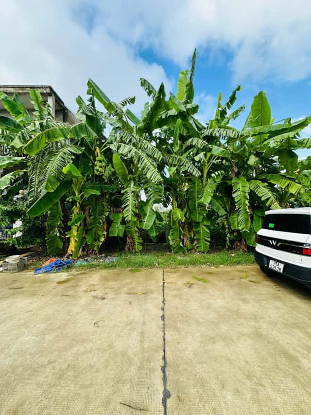 Bán đất KQH Cầu Như Ý, Vân Dương Quận Thuận Hóa, TP. Huế – giá 4.1 tỷ