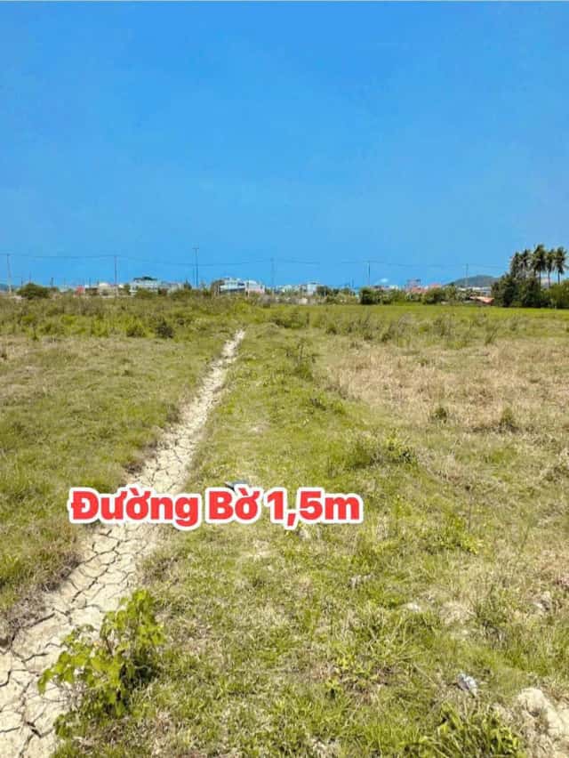 Bán đất hẻm đường số 12 Huyện Diên Khánh, Khánh Hòa – giá 560 triệu