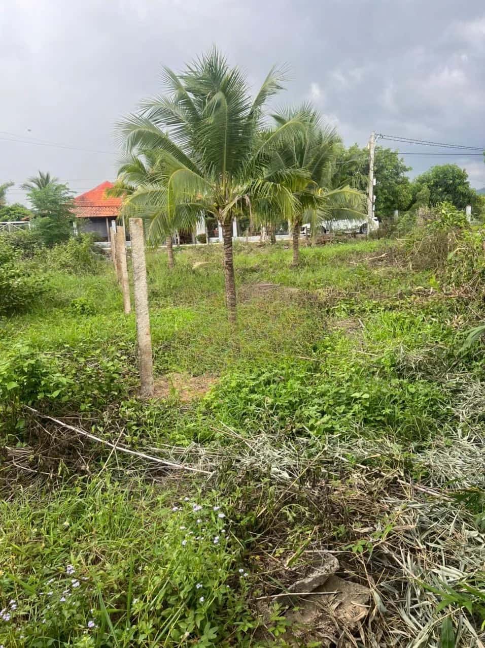 Bán đất hẻm đường DT 7 Thị xã Ninh Hòa, Khánh Hòa – giá 450 triệu