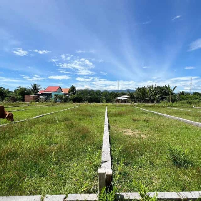 Bán đất Đường Ấp Tân Sinh Huyện Diên Khánh, Khánh Hòa – giá 1.3 tỷ