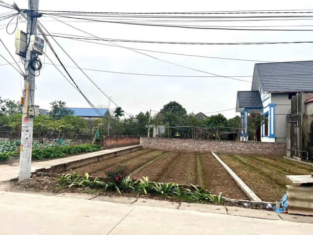 Bán đất Thôn Đông Tảo Đông Huyện Khoái Châu, Hưng Yên – giá 2.6 tỷ