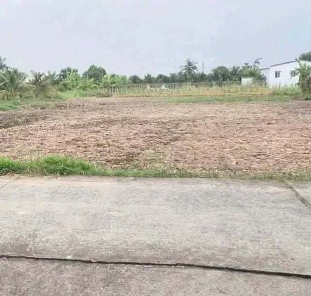 Bán đất  Ấp 3 Huyện Châu Thành, Long An – giá 599 triệu