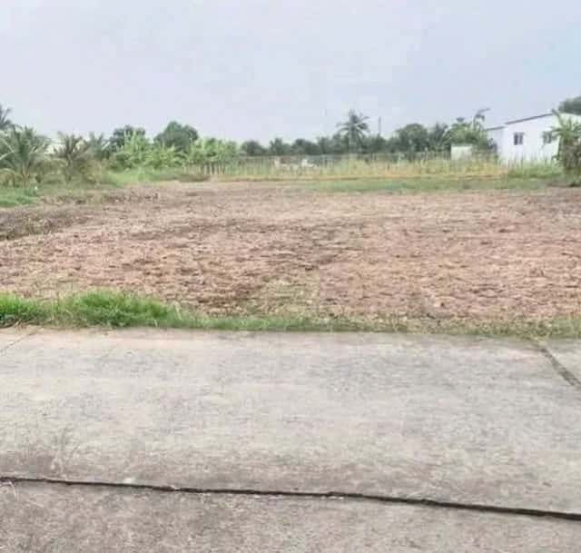 Bán đất  Ấp 3 Huyện Châu Thành, Long An – giá 599 triệu