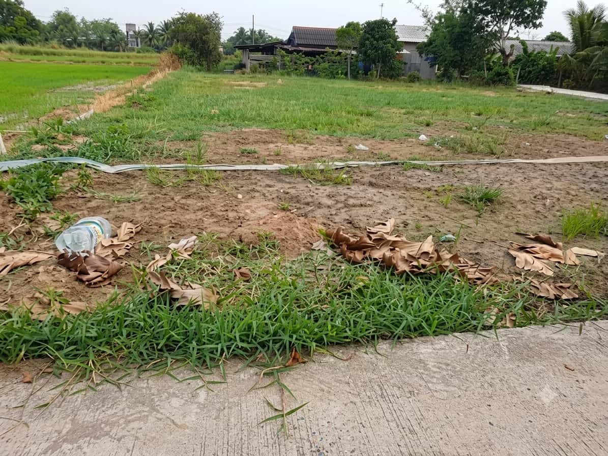 Bán đất Lê Thị Trâm Thành phố Tân An, Long An – giá 660 triệu