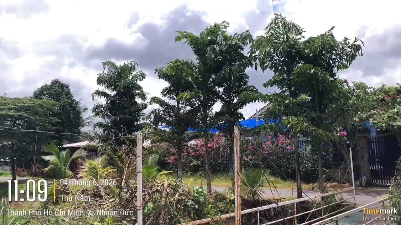 7899215079726.mp4