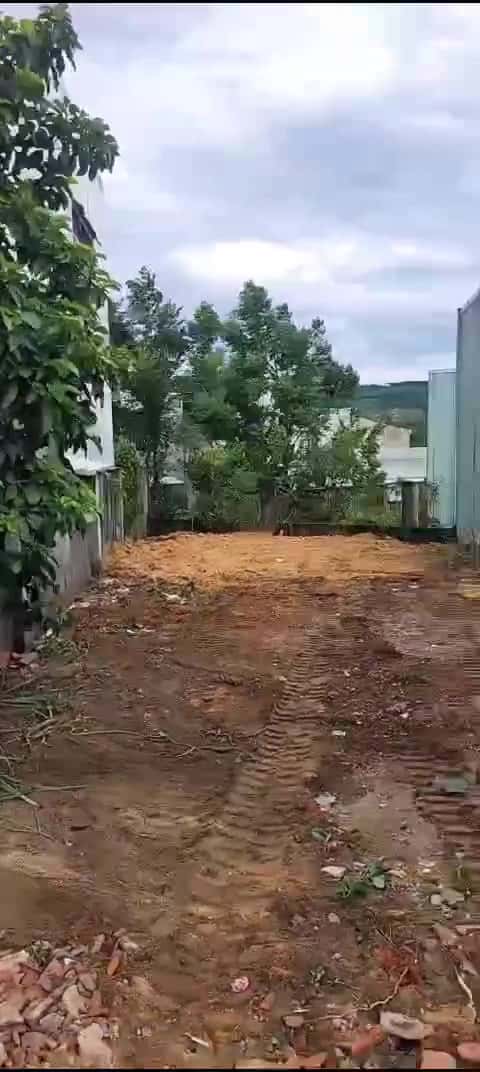 Thửa 298 - Tờ 219, Kiệt Huỳnh Thị Bảo Hòa, P.Hòa Hiệp Nam, Q.Liên Chiểu, Thành phố Đà Nẵng