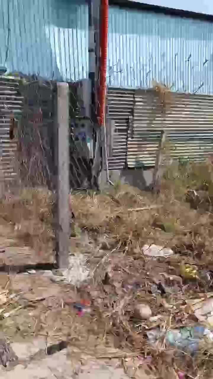 1785593382712_2210575277134037689_1061753486695187368.mp4