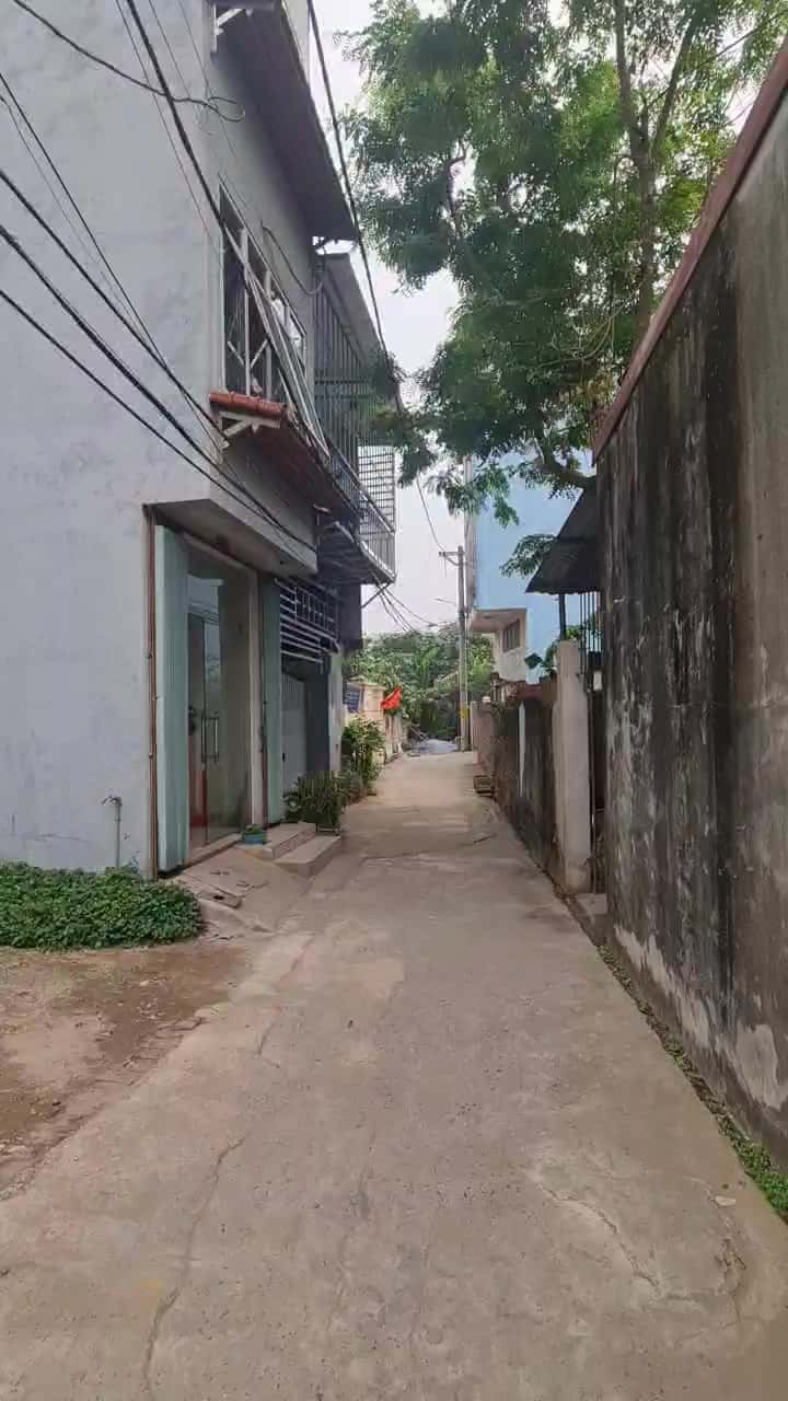 CLIP3.mp4