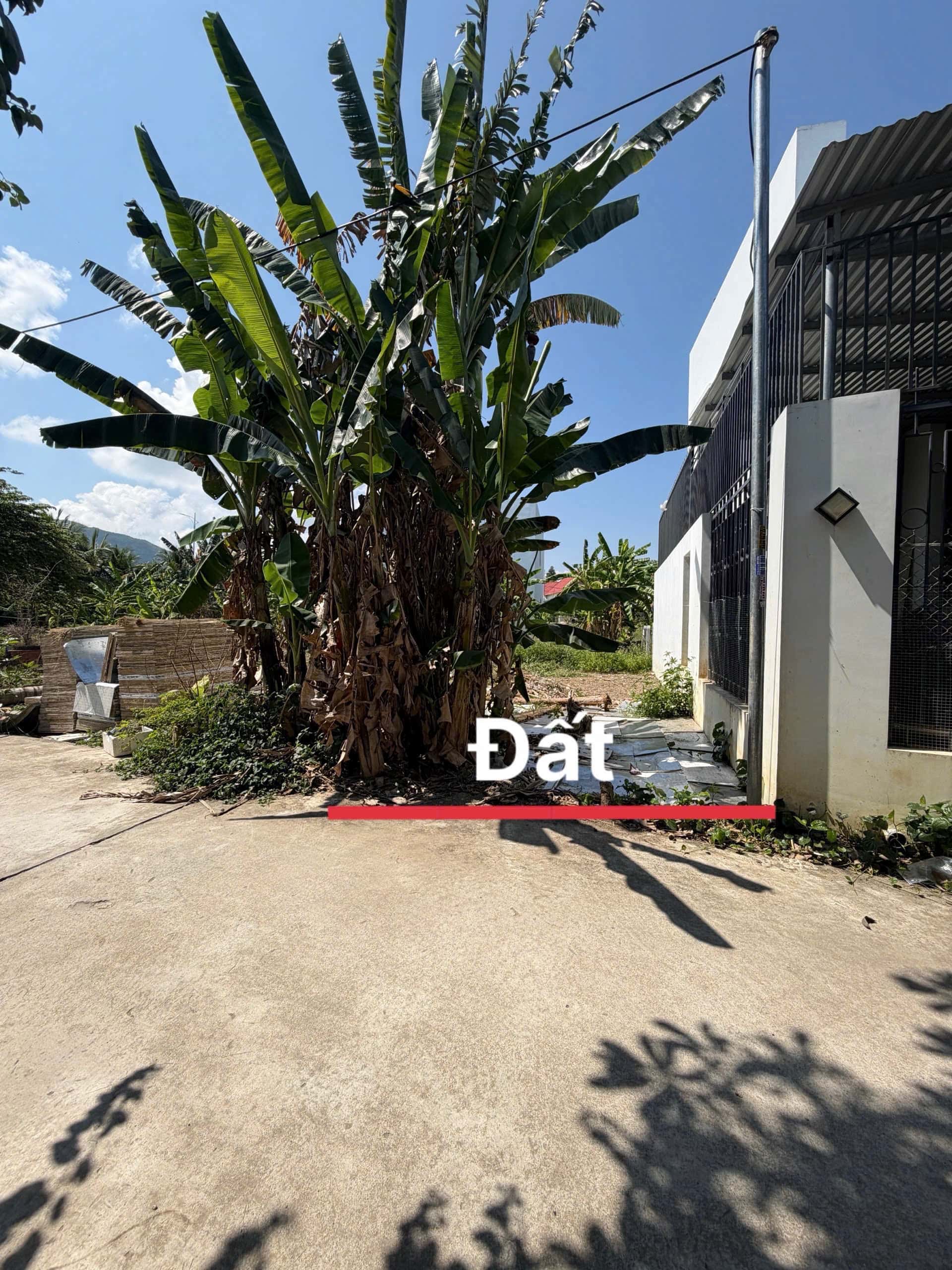 Bán đất Thôn Trung Nam Huyện Diên Khánh, Khánh Hòa – giá 1.7 tỷ