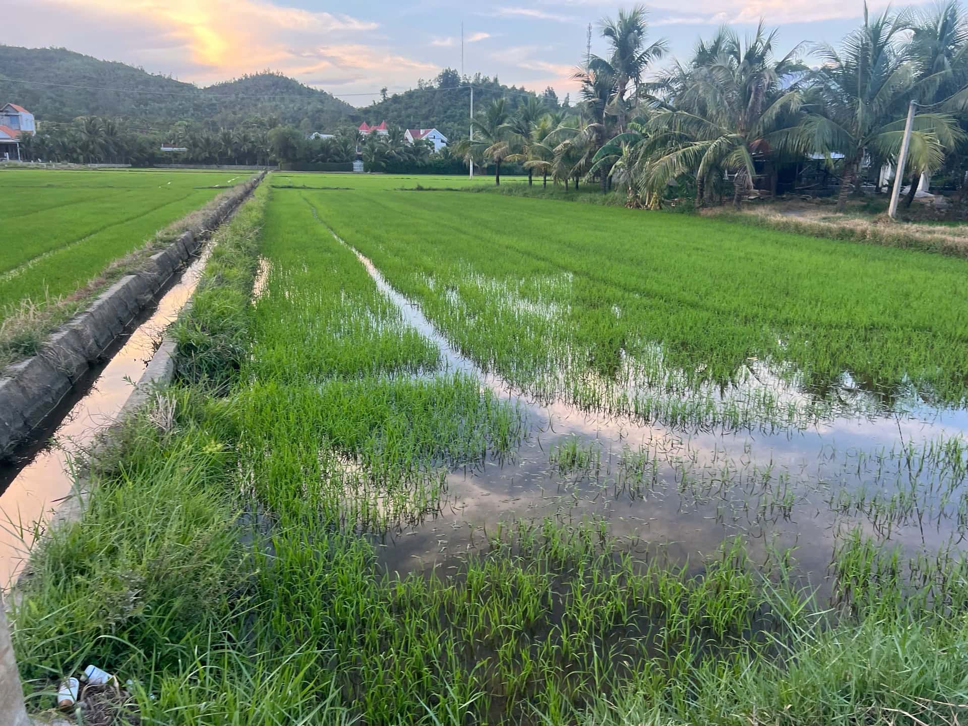 Bán đất Trần Quý Cáp Thị xã Ninh Hòa, Khánh Hòa – giá 10.8 tỷ