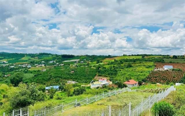 Bán đất ấp 5, nhánh đường QL20 Huyện Định Quán, Đồng Nai – giá 595 triệu