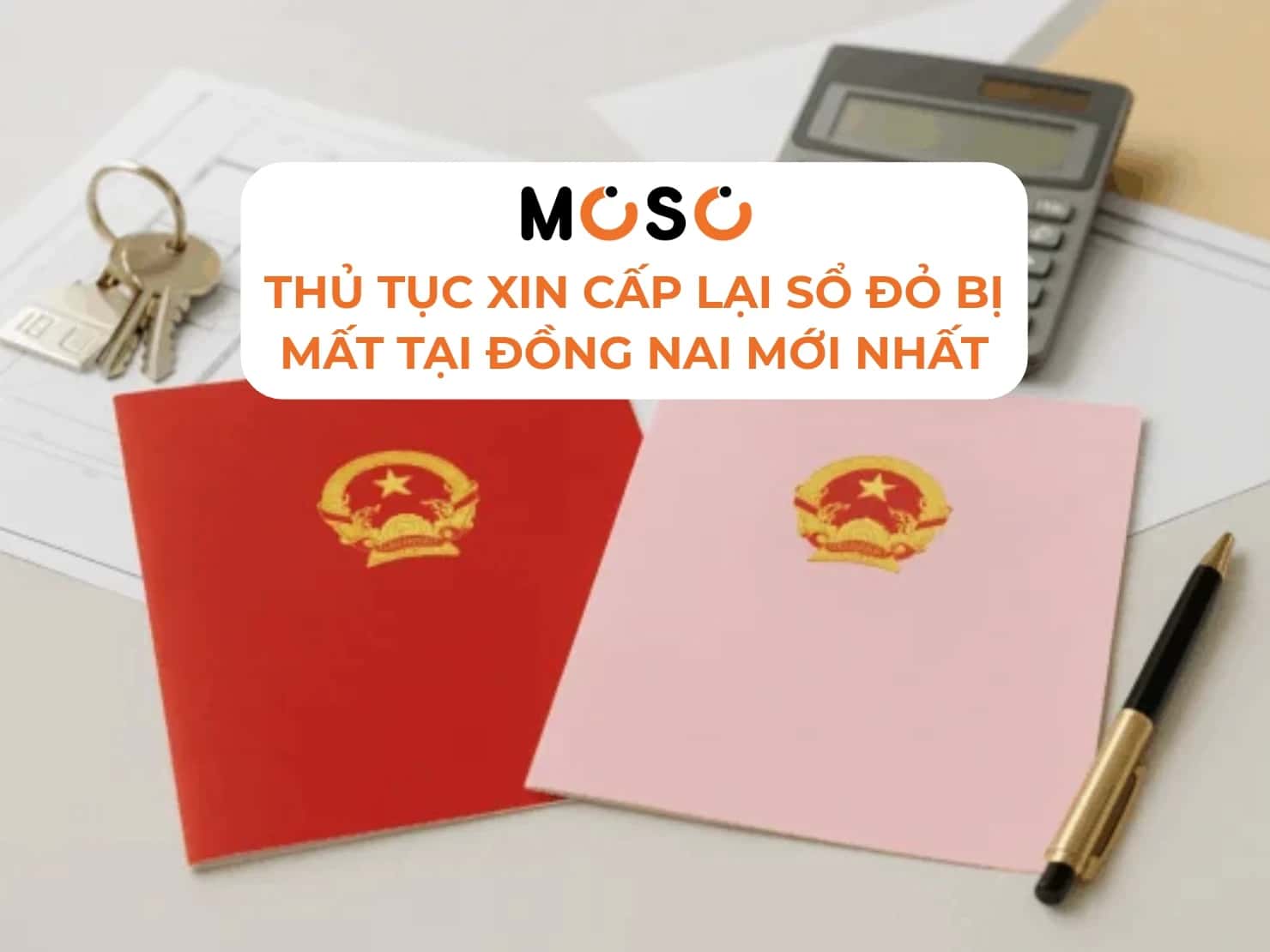 Thủ tục xin cấp lại sổ đỏ bị mất tại Đồng Nai mới nhất từ 1/7/2026