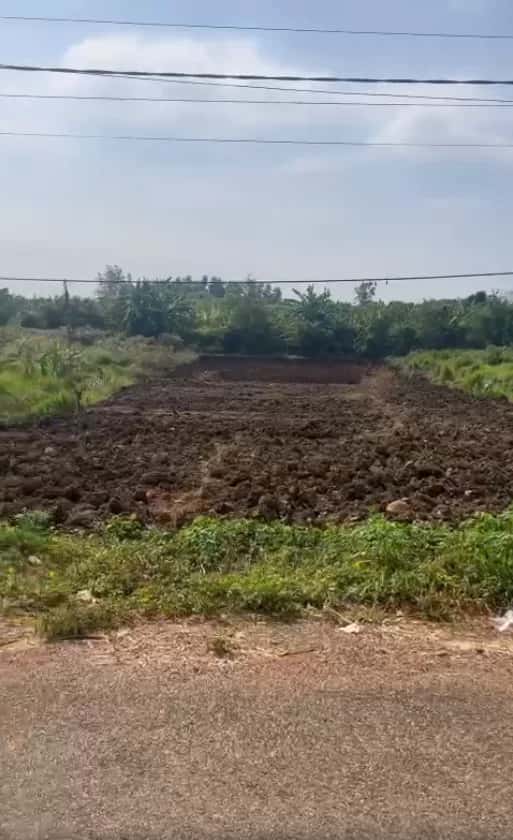 Bán đất Thửa 1096 - Tờ 123, đường Quảng Phú - Tân An Huyện Châu Đức, BRVT – giá 530 triệu