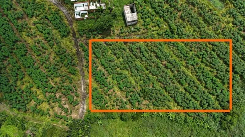 Bán đất Huyện Cẩm Mỹ, Đồng Nai – giá 1.2 tỷ