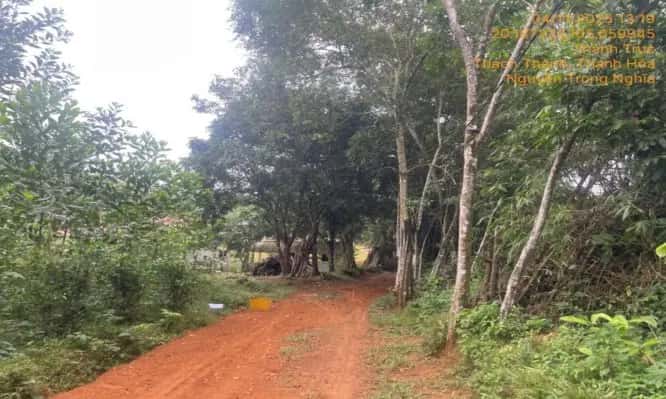 Bán đất Huyện Thạch Thành, Thanh Hóa – giá 1.1 tỷ
