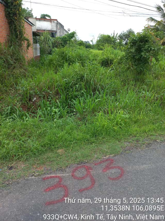 Bán đất Thành phố Tây Ninh, Tây Ninh – giá 985 triệu