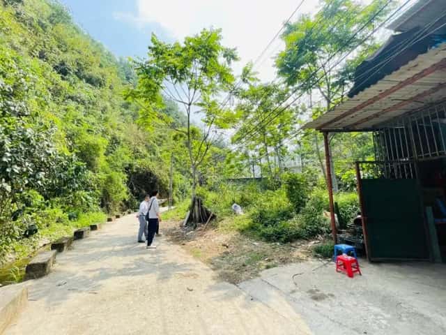 Bán đất Tôn Thất Tùng Thành phố Hòa Bình, Hoà Bình – giá 1.5 tỷ