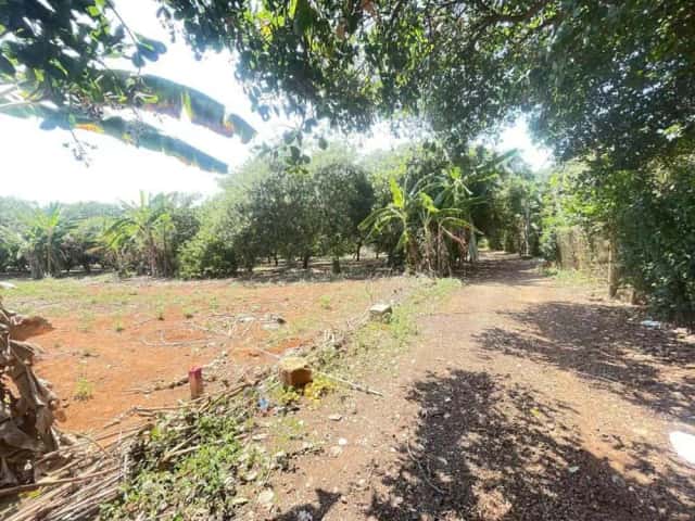 Bán đất Phú Mỹ, BRVT – giá 674 triệu Bán đất Phú Mỹ, BRVT – giá 674 triệu