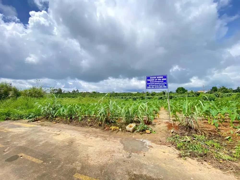 Bán đất Bảo Lộc, Lâm Đồng – giá 1 tỷ — Hình 3