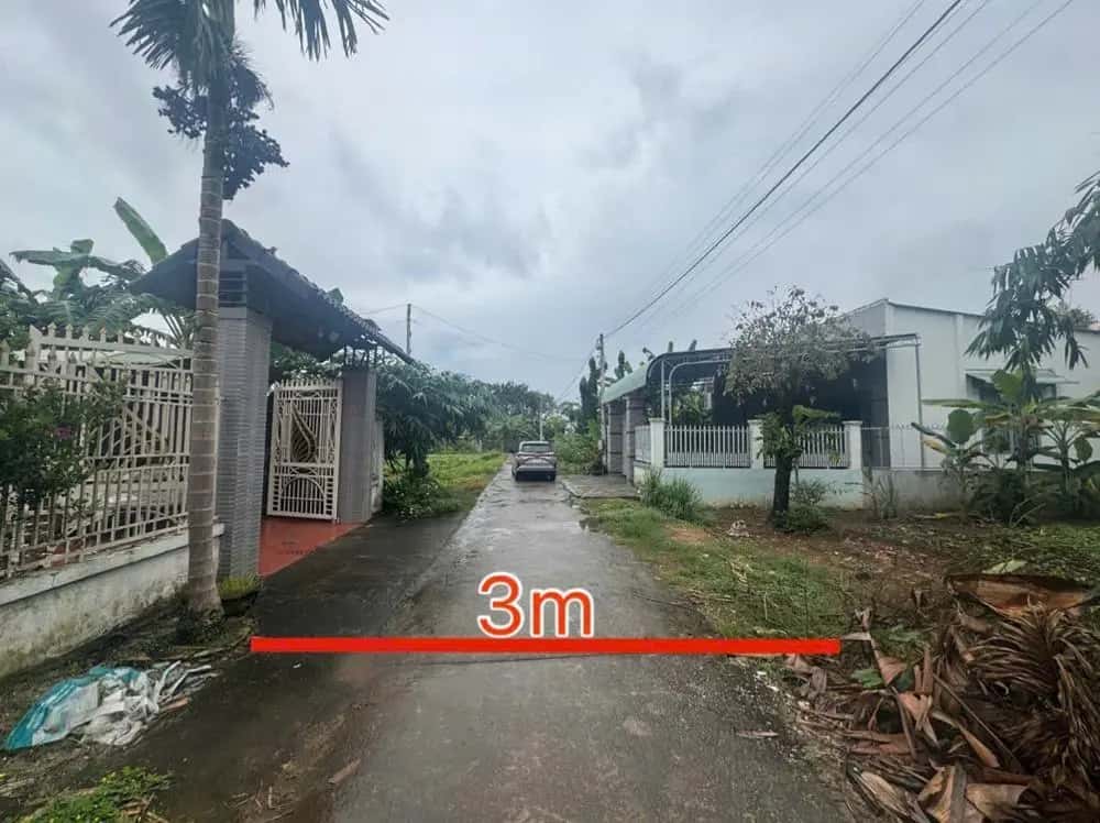 Bán đất Đồng Phú, Bình Phước – giá 610 triệu — Hình 2