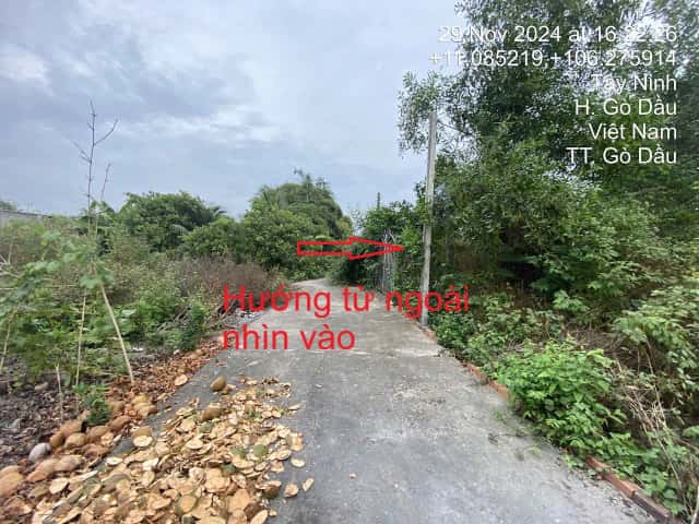 Bán đất Khu phố Thanh Bình A Huyện Gò Dầu, Tây Ninh – giá 1 tỷ Bán đất Khu phố Thanh Bình A Huyện Gò Dầu, Tây Ninh – giá 1 tỷ