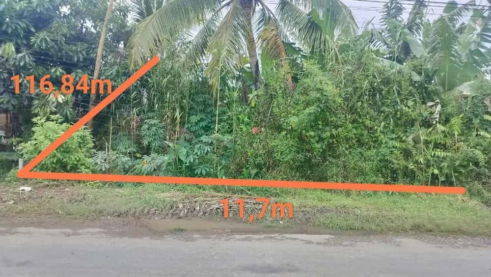 Bán đất Huyện Tam Bình, Vĩnh Long – giá 1.2 tỷ
