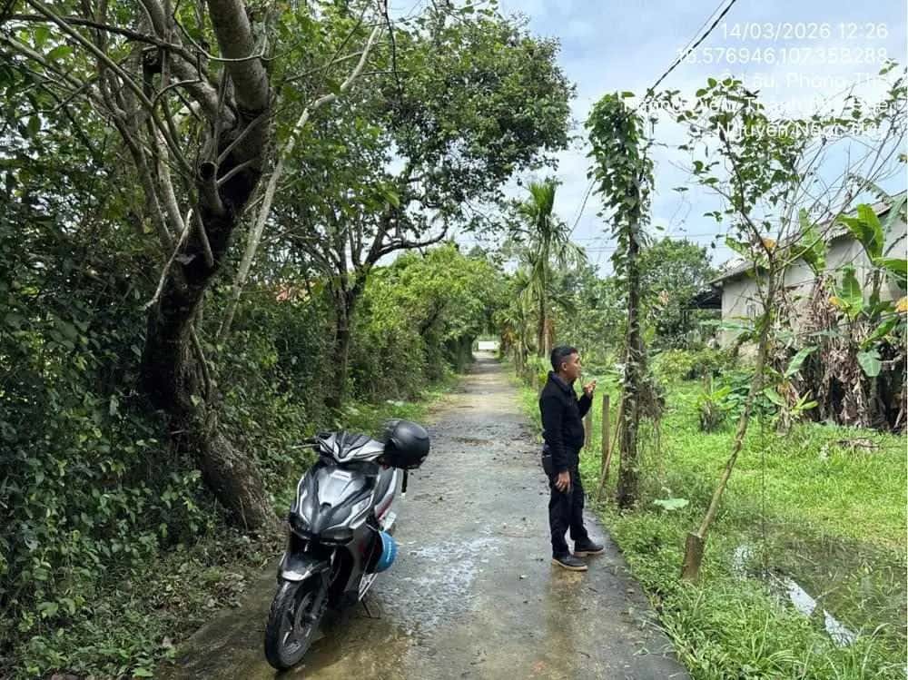 Bán đất Phong Điền, Thừa Thiên Huế – giá 402 triệu