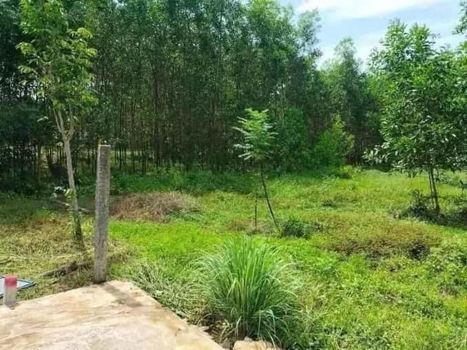 Bán đất Phú Lộc, Thừa Thiên Huế – giá 852 triệu