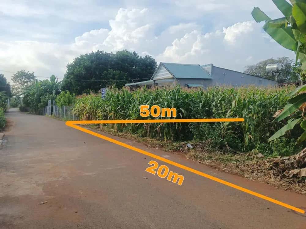 Bán đất Xã Kim Long, TP.HCM – giá 1.9 tỷ