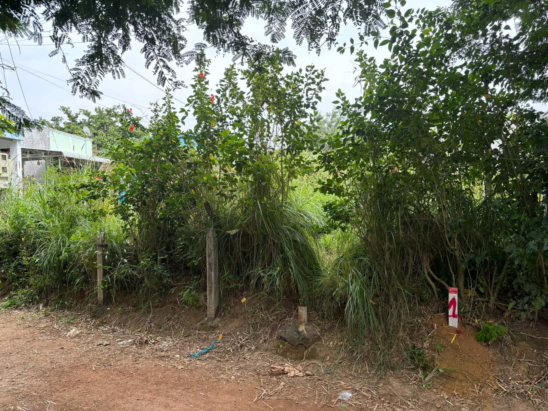 Bán đất Huyện Xuân Lộc, Đồng Nai – giá 1.1 tỷ — Hình 3