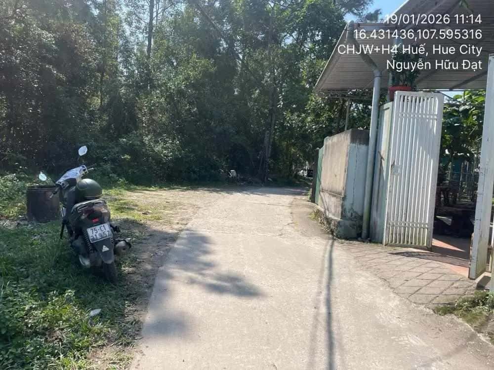 Bán đất Tam Thai Thành phố Huế, Thừa Thiên Huế – giá 1 tỷ