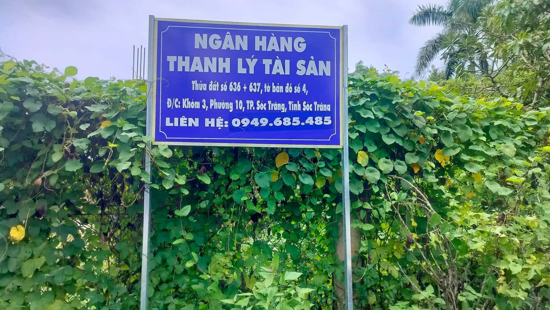 Bán đất Quốc lộ 1A Thành phố Sóc Trăng, Sóc Trăng – giá 2.4 tỷ