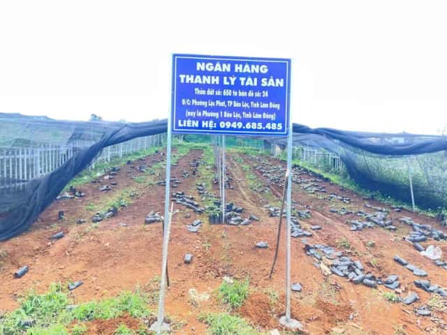 Bán đất Thành phố Bảo Lộc, Lâm Đồng – giá 1.3 tỷ Bán đất Thành phố Bảo Lộc, Lâm Đồng – giá 1.3 tỷ