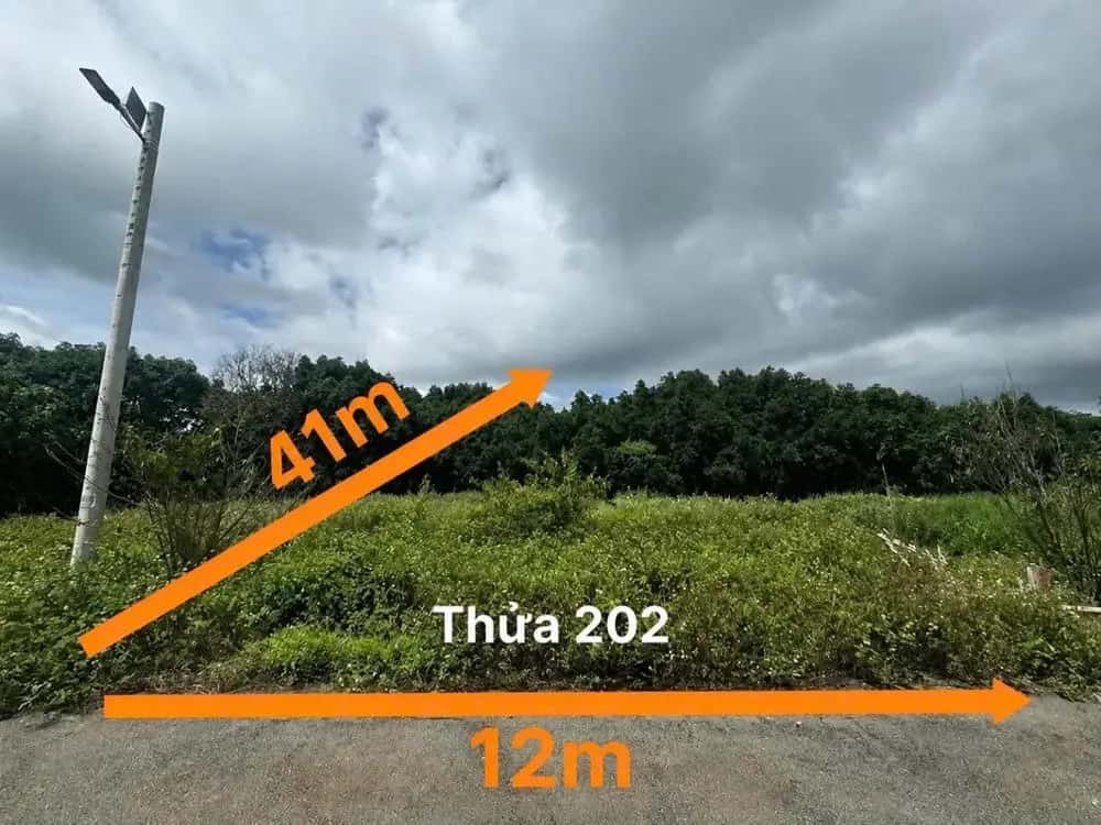 Bán đất Huyện Lâm Hà, Lâm Đồng – giá 908.2 triệu