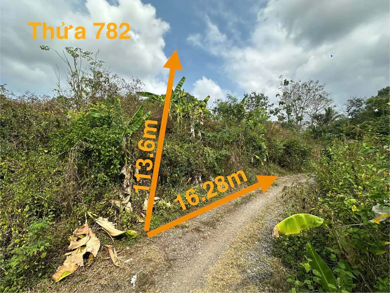Bán đất Huyện Định Quán, Đồng Nai – giá 494 triệu