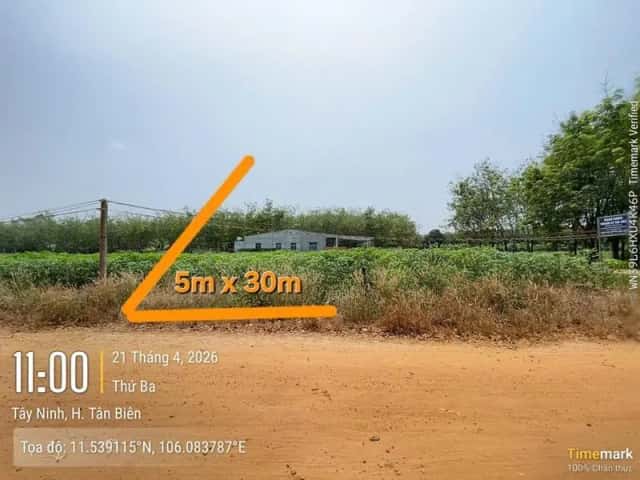Bán đất Đường Trần Vĩnh Lộc Huyện Tân Biên, Tây Ninh – giá 143 triệu Bán đất Đường Trần Vĩnh Lộc Huyện Tân Biên, Tây Ninh – giá 143 triệu