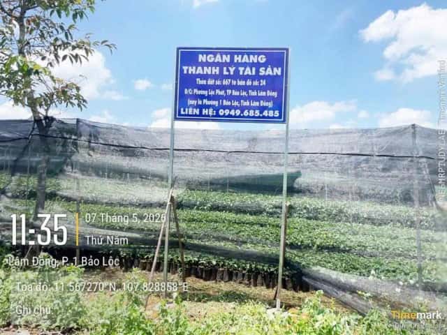 Bán đất Thành phố Bảo Lộc, Lâm Đồng – giá 984 triệu
