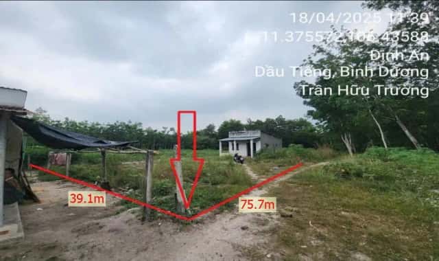 Bán đất X. Định An Huyện Dầu Tiếng, Bình Dương – giá 1.6 tỷ