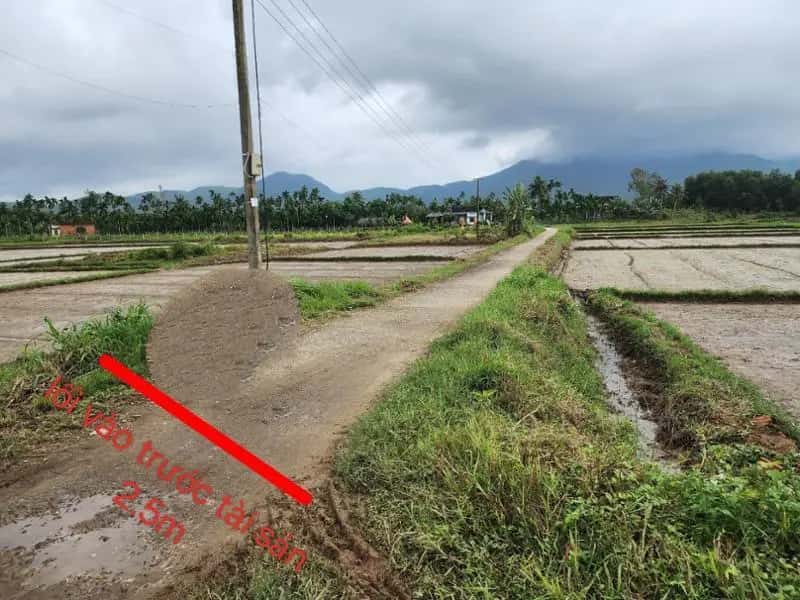 Bán đất Huyện Nghĩa Hành, Quảng Ngãi – giá 1.4 tỷ