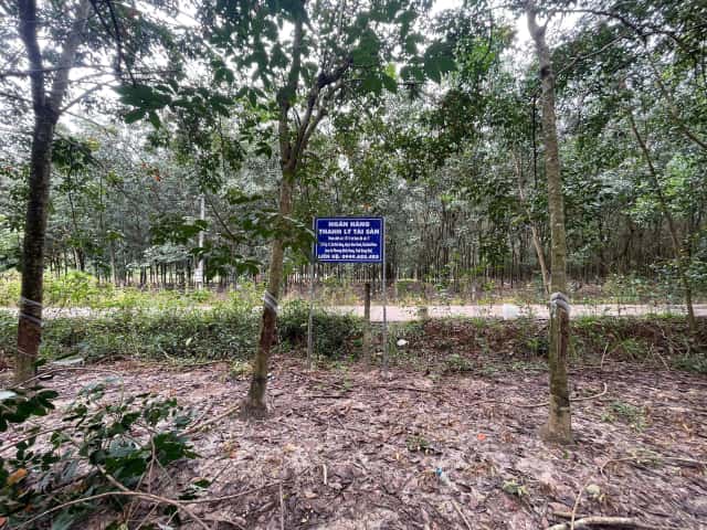 Bán đất Huyện Chơn Thành, Bình Phước – giá 4 tỷ