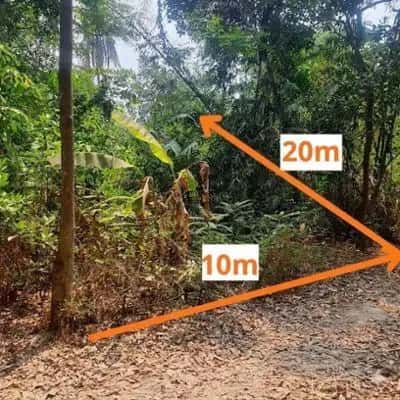 Bán đất Huyện Gò Dầu, Tây Ninh – giá 232 triệu Bán đất Huyện Gò Dầu, Tây Ninh – giá 232 triệu