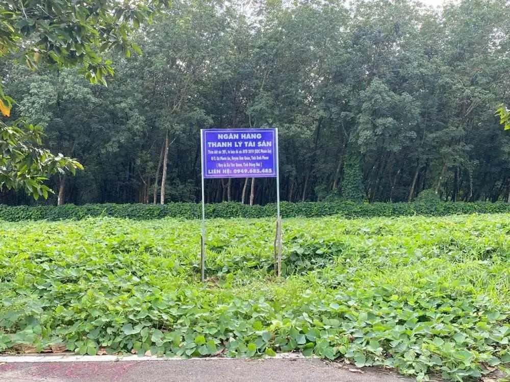 Bán đất Huyện Hớn Quản, Bình Phước – giá 355 triệu