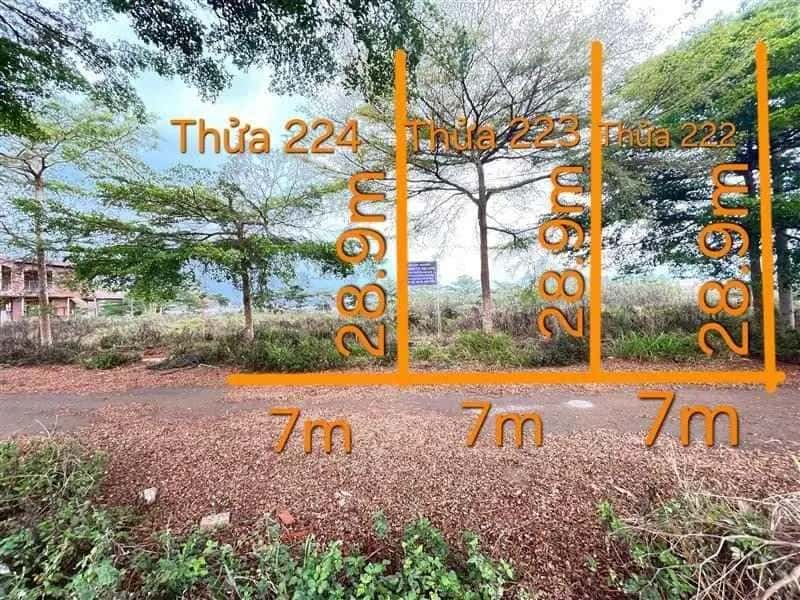 Bán đất Unnamed Huyện Đơn Dương, Lâm Đồng – giá 552 triệu