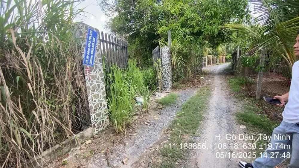 Bán đất ấp Cẩm An Huyện Gò Dầu, Tây Ninh – giá 5.4 tỷ