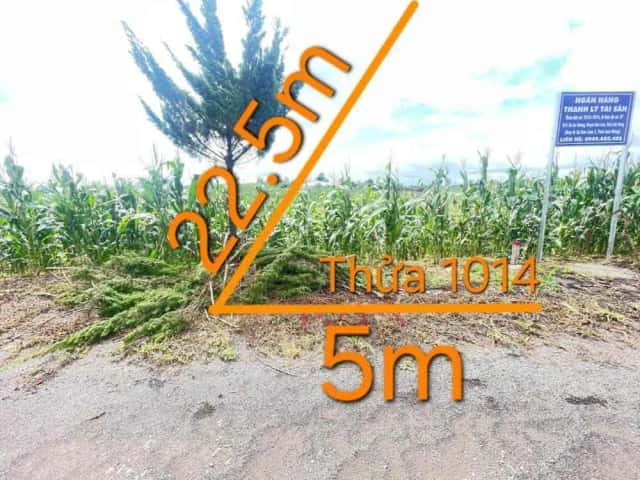 Bán đất Huyện Bảo Lâm, Lâm Đồng – giá 379 triệu Bán đất Huyện Bảo Lâm, Lâm Đồng – giá 379 triệu