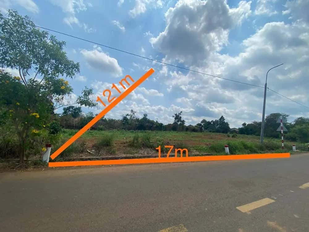Bán đất Trương Định Huyện Cẩm Mỹ, Đồng Nai – giá 1.4 tỷ