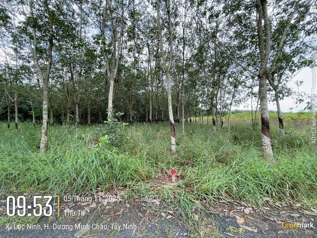 Bán đất Huyện Dương Minh Châu, Tây Ninh – giá 405.8 triệu