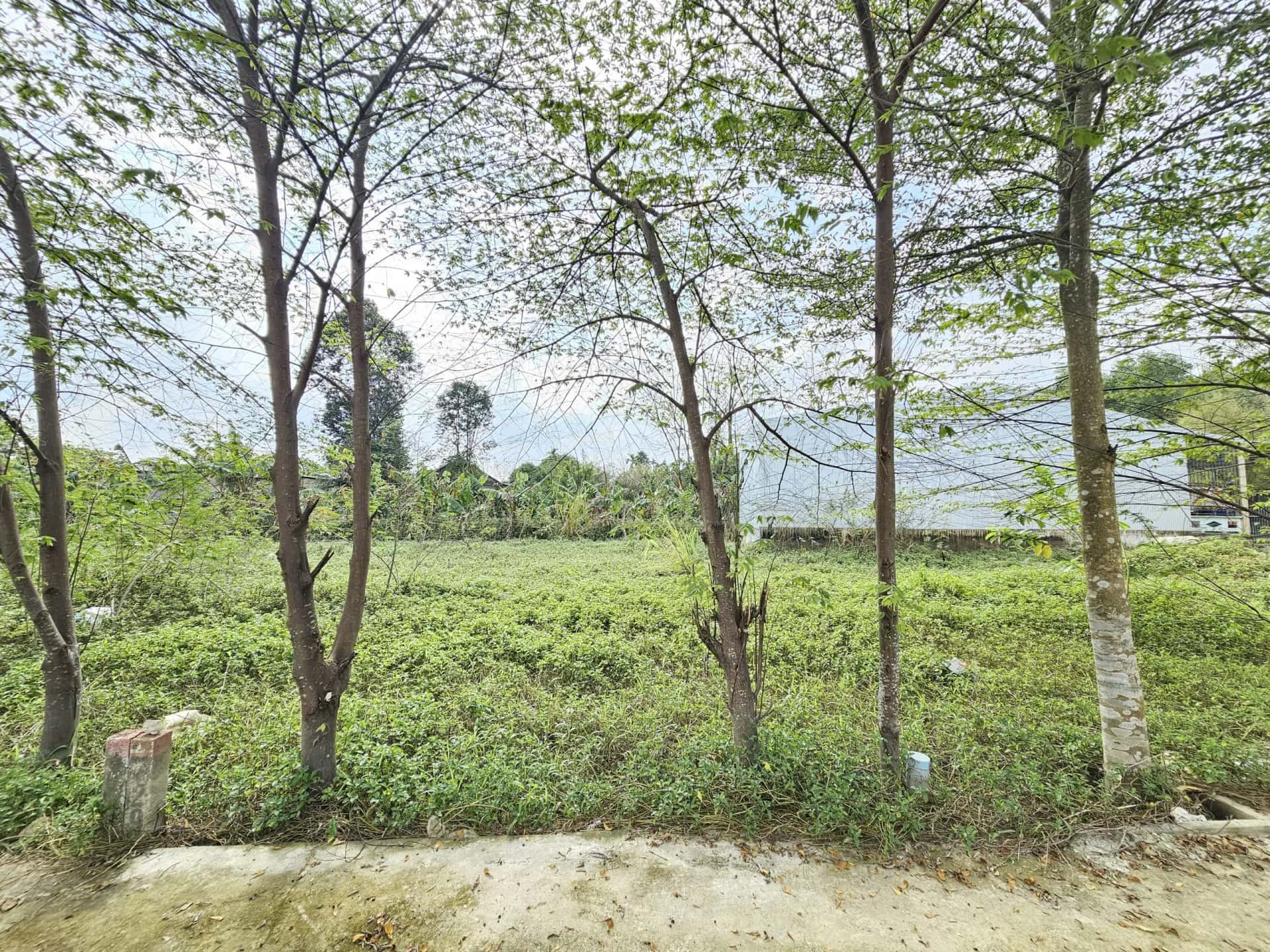 Bán đất Huyện Quảng Điền, Thừa Thiên Huế – giá 1 tỷ